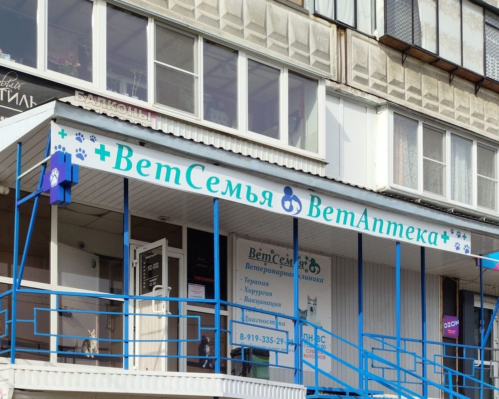 Вход в ветеринарную клинику ВетСемья на улице Хохрякова, 6 в Челябинске